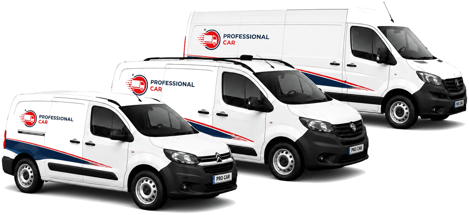 Flota — trzy busy z logo Professional Car